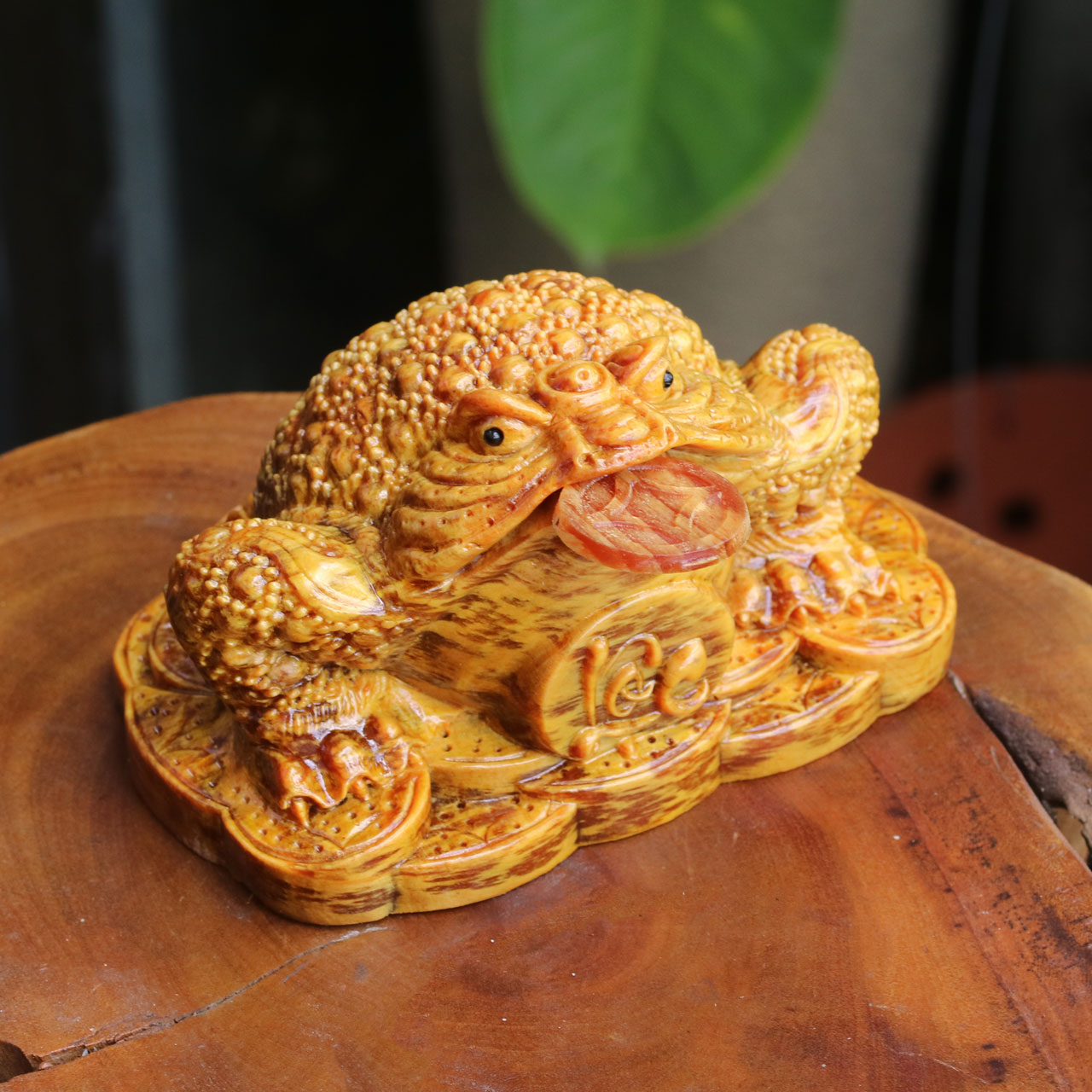 Thiềm Thừ Gỗ Huyết Long Ngậm Tiền Tgw6