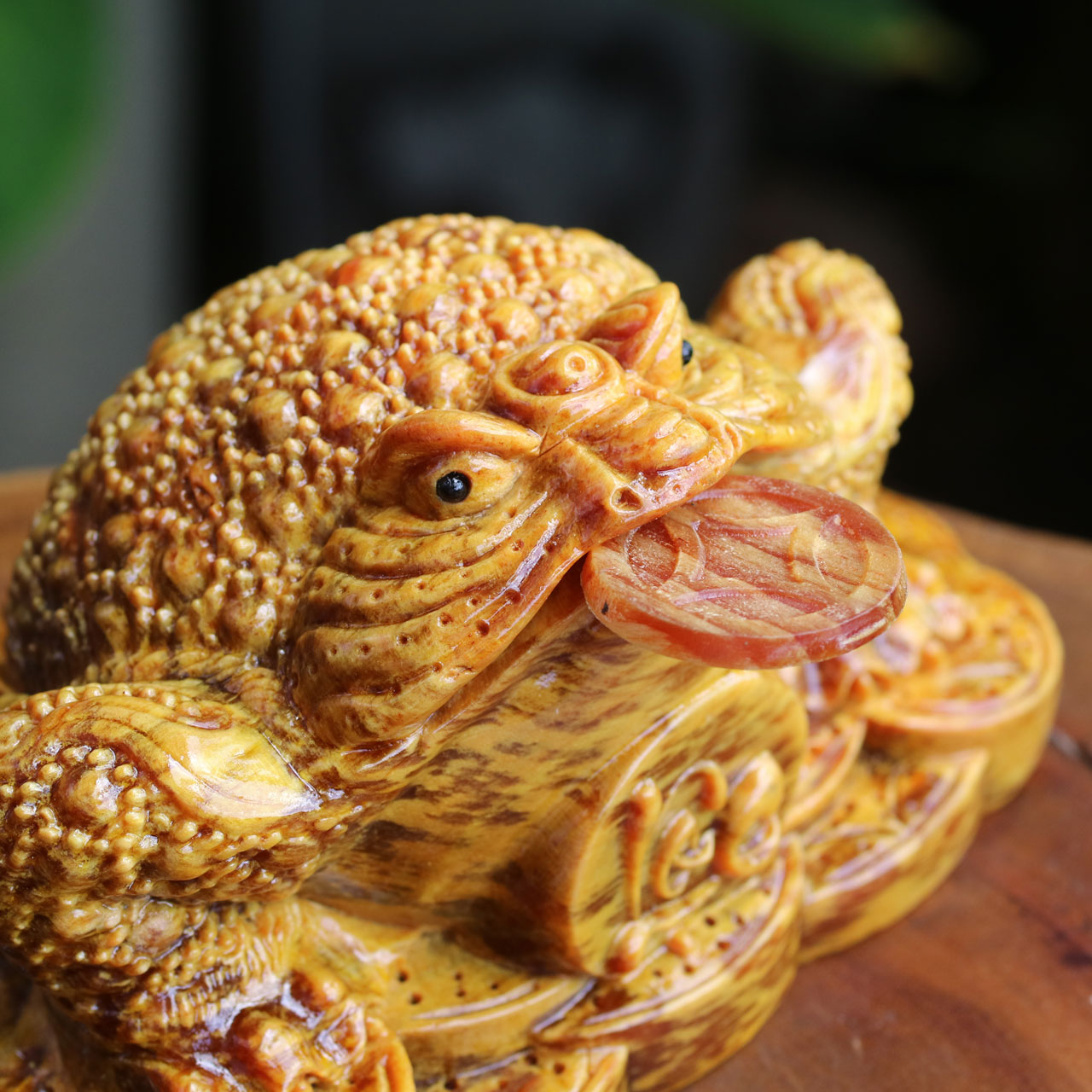 Thiềm Thừ Gỗ Huyết Long Ngậm Tiền Tgw6